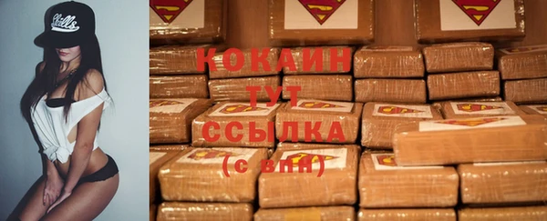 стаф Беломорск