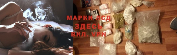 стаф Беломорск
