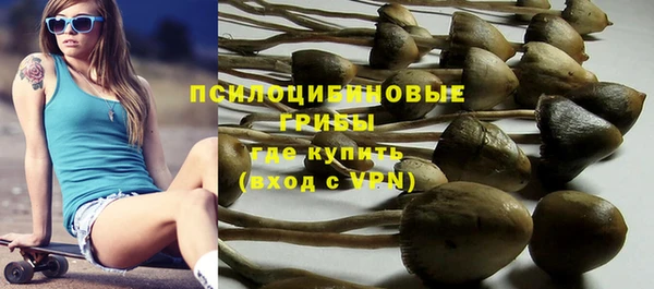 альфа пвп Белокуриха